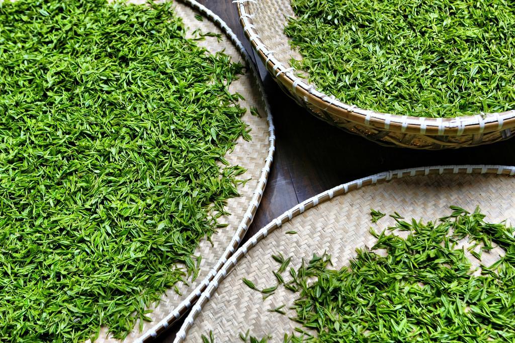 Landison Longjing Resort Χανγκζού Εξωτερικό φωτογραφία