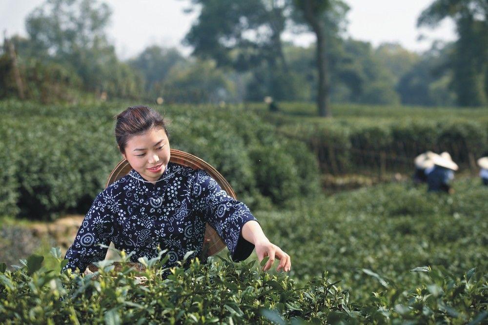 Landison Longjing Resort Χανγκζού Εξωτερικό φωτογραφία