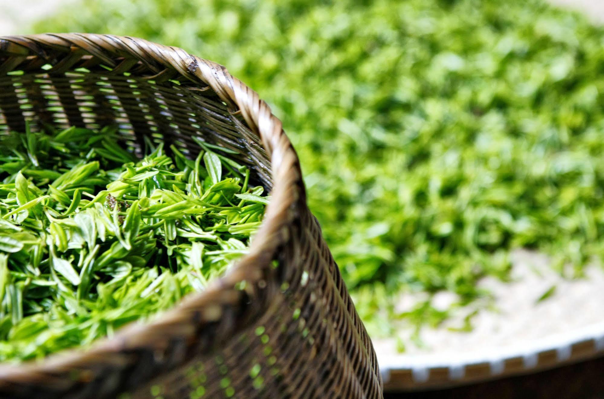 Landison Longjing Resort Χανγκζού Εξωτερικό φωτογραφία